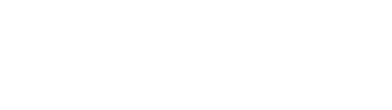 Navitek